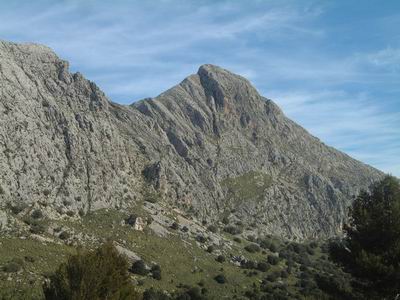 DSCF0099.JPG